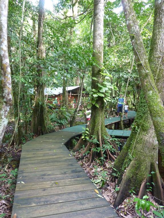 Hotel Casa Perico Rio Dulce Town Dış mekan fotoğraf
